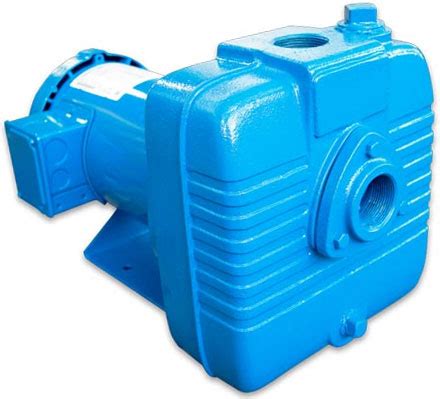 barnes centrifugal pump|barnes 4sev ds pump.